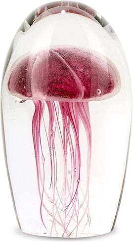 قنديل البحر الكبير - أرجواني in Kuwait