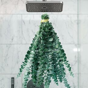 12PCS Preserved Eucalyptus Stems - Trendy Bathroom Decor and Shower Plant - Hanging Green Aesthetic for Home &V Bathroom Spaces - Fresh and Dried Eucalyptus for Shower - Home Decor on Elements