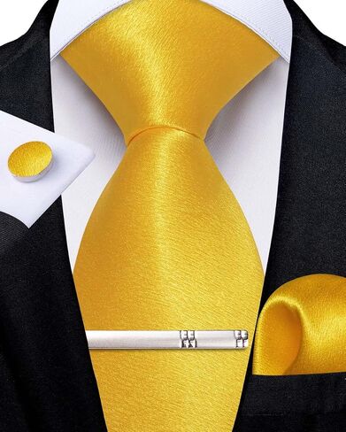 DiBanGu Men Ties Bowtie Set Satin Necktie Bow Tie and Pocket Square Cufflink Set for Men with Silver Tie Clip in Saudi Arabia