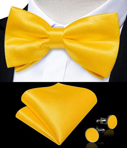 DiBanGu Men Ties Bowtie Set Satin Necktie Bow Tie and Pocket Square Cufflink Set for Men with Silver Tie Clip in Saudi Arabia