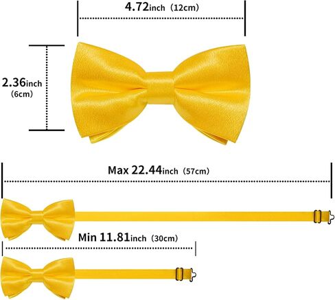 DiBanGu Men Ties Bowtie Set Satin Necktie Bow Tie and Pocket Square Cufflink Set for Men with Silver Tie Clip in Saudi Arabia