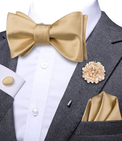 Dubulle الذاتي التعادل القوس العلاقات ودبوس التلبيب للرجال بيزلي الصلبة رجل ربطة العنق ومنديل أزرار أكمام مجموعة الزفاف in Kuwait