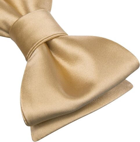 Dubulle الذاتي التعادل القوس العلاقات ودبوس التلبيب للرجال بيزلي الصلبة رجل ربطة العنق ومنديل أزرار أكمام مجموعة الزفاف in Kuwait