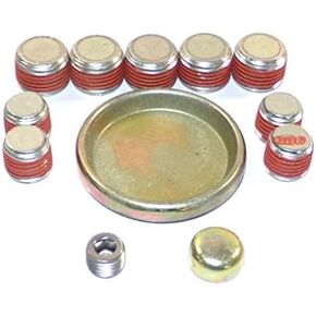 DNJ FPS1160 Brass Freeze Plug Set for 2003-2015 Chrysler Dodge Jeep Ram 5.7L V8 16V OHV 345cid ELECTRIC/GAS GAS [HEMI]