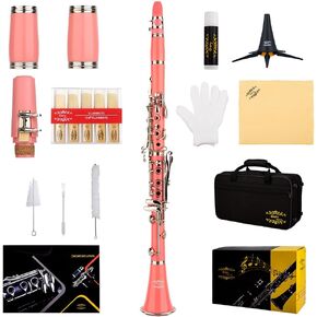 Glory GLY-PBK Professional Ebonite Bb Clarinet with 10 Reeds, Stand, Hard Case, Cleaning Cloth, Cork Grease, Mouthpiece Brush and Pad Brush, Black