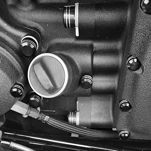 Motorcycle Aluminum Engine Bolt Caps Cover For Harley Touring Street Glide FLHX FLHR Parts (Chrome) in Saudi Arabia