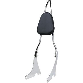 YHMOTO Detachable Passenger Sissy Bar Backrest Pad Fit for Harley Davidson Sportster XL883 XL1200 2004-2023 (Chrome)