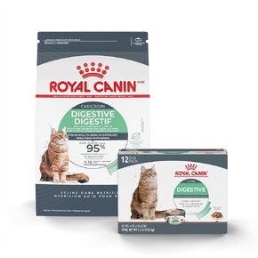 Royal Canin Feline Care Digestive Care Thin Slices in Gravy Wet Cat Food, 3 oz can (12-count) Digestive Care Dry Cat Food, 3 lb bag