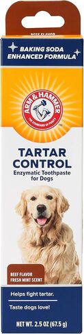 Arm & Hammer Tartar Control Enzymatic Dog Toothpaste, Beef Flavor, 2.5 Oz in Kuwait
