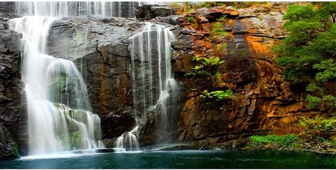 AWERT 24x12 inches Waterfall Terrarium Background Tropical Aquarium Background Mountain Lake Reptile Habitat Background Durable Polyester Background in Saudi Arabia
