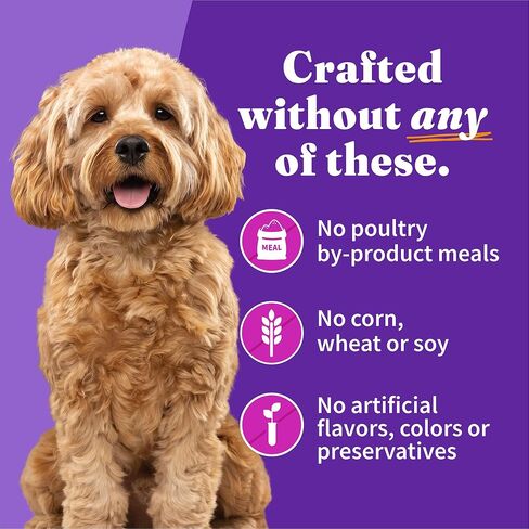 Halo Wet Dog Food For Small Dogs, Grain Free, Chicken & Salmon 5.5 Ounce (Pack of 12) in Saudi Arabia