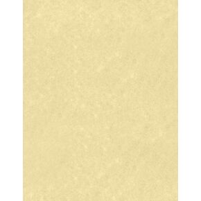 LUXPaper 8.5" x 11" Cardstock | Letter Size | Cream Parchment | 65lb. Cover (120lb. Text) | 50 Qty