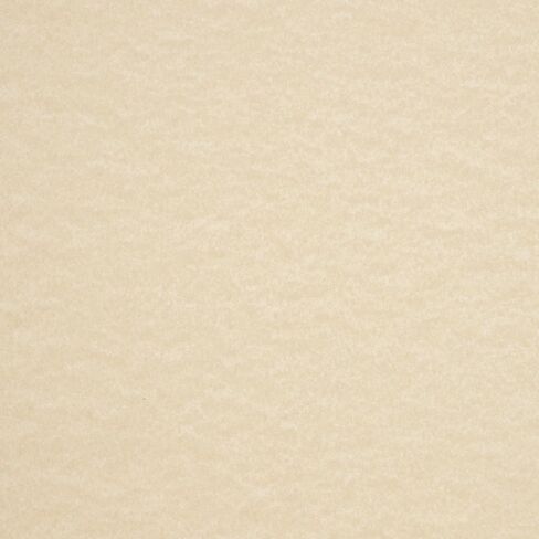 LUXPaper 8.5" x 11" Cardstock | Letter Size | Cream Parchment | 65lb. Cover (120lb. Text) | 50 Qty in Saudi Arabia