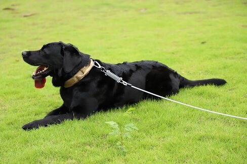 كابل ربط الكلب، بطول 15 قدم، مقود كلب مع خطاف دوار، مقود للكلاب في الفناء شديد التحمل، سلاسل للكلاب في الخارج، للتخييم، واللعب، والفناء الخلفي حتى 165 رطلاً in Kuwait