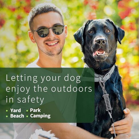 كابل ربط الكلب، بطول 15 قدم، مقود كلب مع خطاف دوار، مقود للكلاب في الفناء شديد التحمل، سلاسل للكلاب في الخارج، للتخييم، واللعب، والفناء الخلفي حتى 165 رطلاً in Kuwait