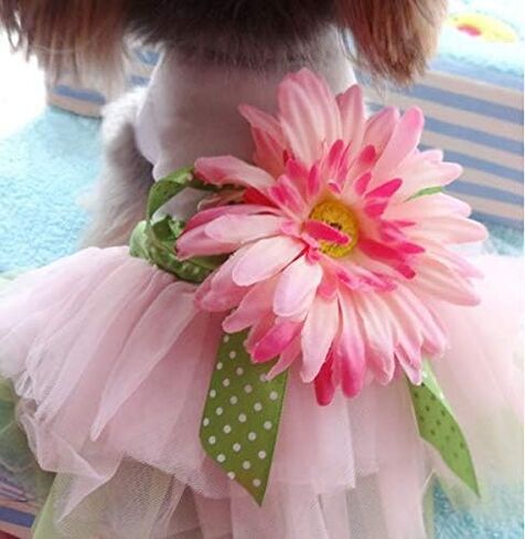 Small Dog Clothes for Girls Puppy Dresses Dachshund Tutu Dress for Girl Dog Puppy Clothes for Small Dog Outfits Pink M in Saudi Arabia