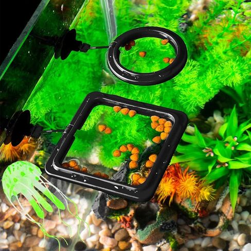Fish Feeder Square-Shaped Automatic Fish Feeders Reduced Filter Clogging Tank Suitable for All Kinds of Food Tank Accessories in Kuwait