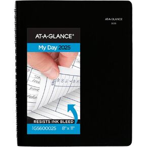 AT-A-GLANCE 2025 Appointment Book Planner, Daily, Four Person Group Planner, 8" x 11", Large, Quarter-Hourly, DayMinder, Black (G5600025)