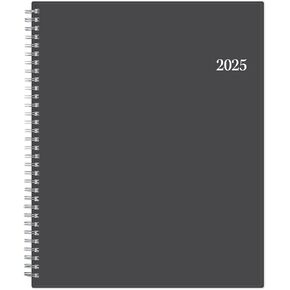 Blue Sky 2025 Weekly and Monthly Appointment Book and Planner, 8.5" x 11", Flexible Cover, Wirebound, Enterprise