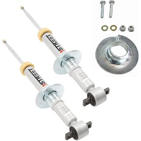 SP Lowering Strut