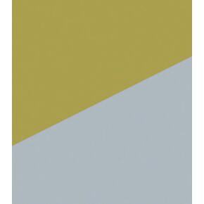 Geographics Royal Brites Two Cool Poster Board, 22 x 28 Inches, Red/Green, 25 per Pack (GEO24320)