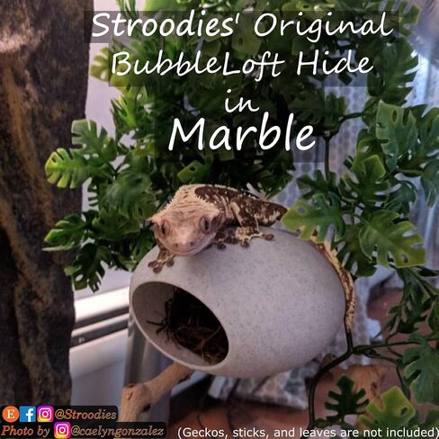 Original Bubbleloft Hide for Arboreal Geckos | Especially Adult Cresties | Includes Suction Cups | (Evergreen) in Kuwait