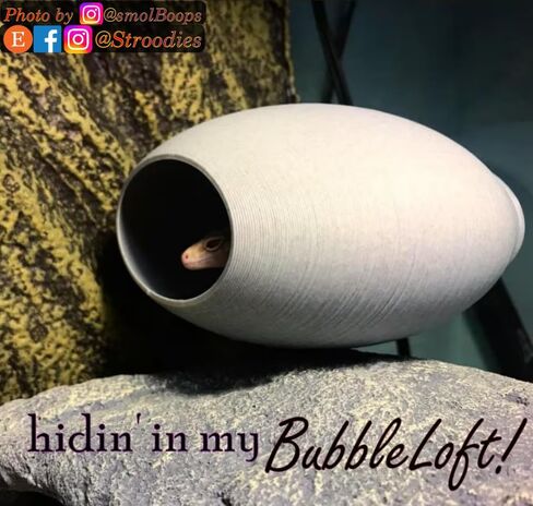 Original Bubbleloft Hide for Arboreal Geckos | Especially Adult Cresties | Includes Suction Cups | (Evergreen) in Kuwait