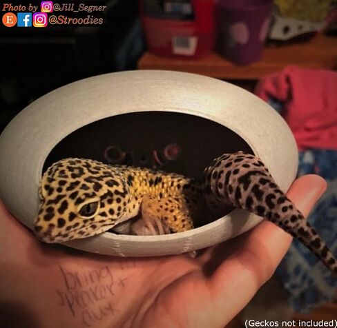 Original Bubbleloft Hide for Arboreal Geckos | Especially Adult Cresties | Includes Suction Cups | (Evergreen) in Kuwait