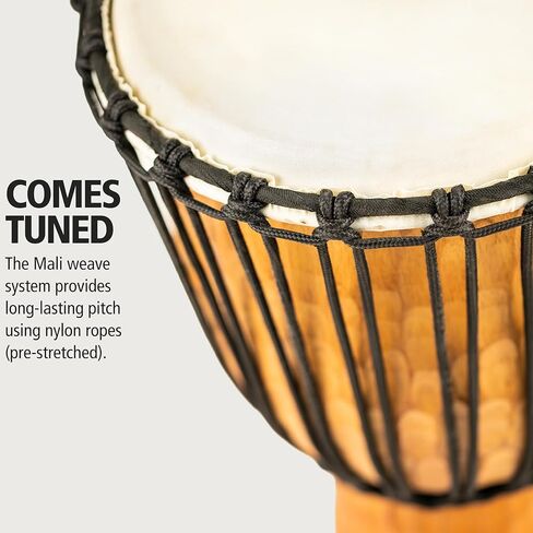 Meinl Percussion Djembe Hand Drum Circle Instrument، سلسلة عناوين الماهوجني المنحوتة - غير مصنوعة في الصين - حبال نسج مالي الأفريقية، ضمان لمدة عامين، نيل، متوسط ​​(HDJ4-M) in Kuwait