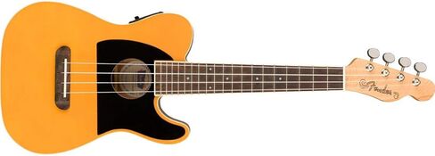 Fender Fullerton Jazzmaster Concert Ukulele, Tidepool in Saudi Arabia