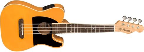 Fender Fullerton Jazzmaster Concert Ukulele, Tidepool in Saudi Arabia