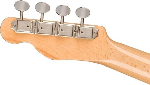 Fender Fullerton Jazzmaster Concert Ukulele, Tidepool in Saudi Arabia
