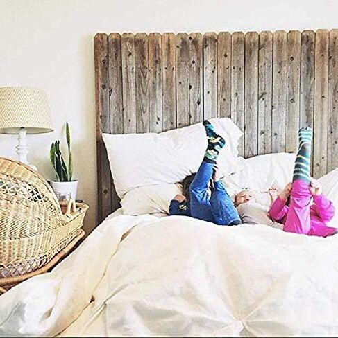 مجموعة Trimfit بيجامة من القطن العضوي الكبير مكونة من قطعتين بأكمام طويلة وطبعة روبوت in Kuwait