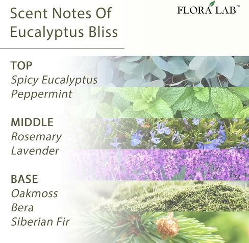 Scented Diffuser Set with Sticks and Real Dried Flowers, 6.7oz (200ml) Eucalyptus & Rosemary, Long-Lasting Fragrance, Natural Design, Perfect for Home & Bathroom, Shelf Decor, Ideal Gift in Saudi Arabia