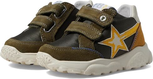Naturino Baby Boy's Falcotto Amantea Star VL (طفل صغير) عسكري/زوكا الاتحاد الأوروبي 24 (الولايات المتحدة 7.5 طفل صغير) M in Kuwait
