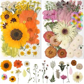 100Pcs Purple Dried Pressed Flowers,Real Pressed Flowers Natural Dry Leaves Bulk Herbs Kit for DIY Art Crafts, Resin, Jewelry, Soap, Candle, Scrapbooking,Papermaking Supplies