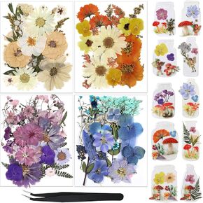 Nuanchu Pressed Flowers Bulk Dried Flower for Crafts, Dried Flower Leave Natural with Tweezer for Resin Mold Scrapbooking DIY (Lively Style)