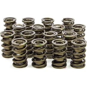 Isky Racing Cams (9985) 1.560" O.D. Valve Spring