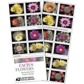 Cactus Flowers 2 Books of 20 Forever First Class US Postage Stamps Celebration Wedding