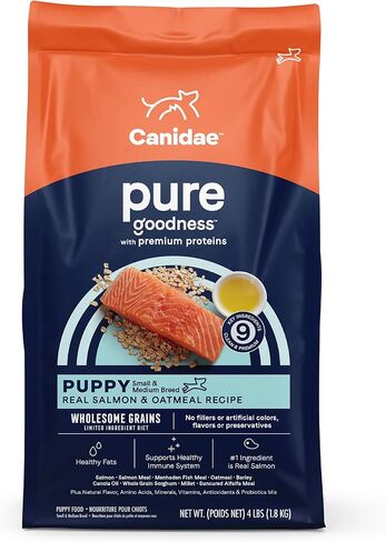 canidae الجرو النقي وصفة السلمون الحقيقي والشوفان للكلاب الجافة 24 رطل in Kuwait