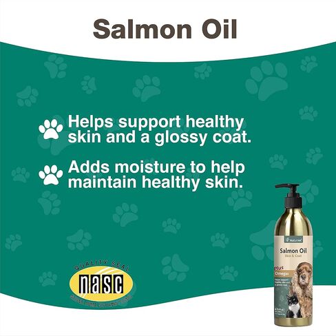 NaturVet – Salmon Oil Skin & Coat Plus Omegas – Supports Healthy Skin & Glossy Coat – Source of Omega-3 & 6 Fatty Acids – for Dogs & Cats (8.75 oz Oil) in Saudi Arabia