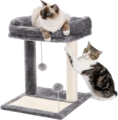 سرير PAWZ Road Cat للخدش، يتميز بأعمدة ووسادات خدش مغطاة بالسيزال الناعم مع كرة لعب رائعة للقطط والقطط in Kuwait