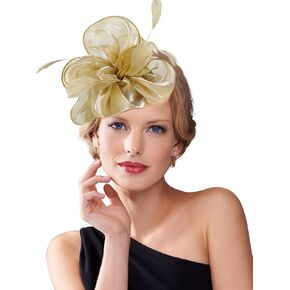 Fascinators Hat for Women Tea Party Derby Hats Pillbox Hat Flower Feathers Wedding Headwear with Headband Hair Clip