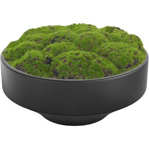 New Moss Bowl, Handmade Ceramic Bowl. 11" Artificial Moss Bowl Centerpiece for Home Decoration, Living Room, Office