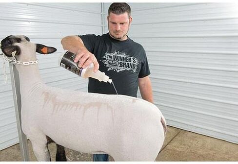 Weaver Leather Livestock Mild Shampoo in Saudi Arabia