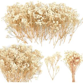 200Pcs Mini Dried Baby's Breath Flowers 4000+Natural Bulk Flowers Real Flowers Pressing Floral Dried Flowers Pressed Gypsophila Bouquet for Hair Accessory Wedding Card Making (Ivory White)