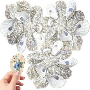 36PCS Oyster Shells Bulk Oyster Shells for Home Decor Vase Filler, Ornaments, DIY Arts and Crafts Sea Shells, Cups Style 4"-5"