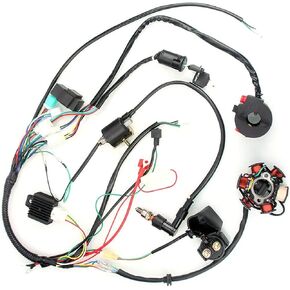 Quad Wire Harness, CDI Wire Harness Assembly Wiring Set for 50cc 70cc 90cc 110cc 125cc Chinese ATV Electric Stator CDI Coil ATV Quad Bike Buggy Go Kart