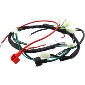 Wiring Harness Loom for 190cc Electric Start Engine Pit Dirt Bike Motorcycle