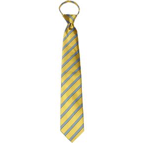 Basilio ZIP-12803 - Men's Stripe pre made Mens Zipper Necktie Tie